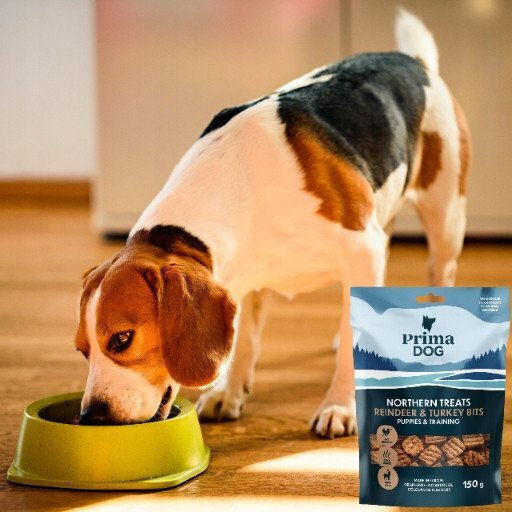 Primadog Hundeleckerlis Rentier Für Welpen 150g