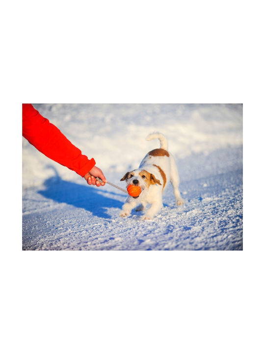 Doggy Village Ball Toy Dog 1pcs