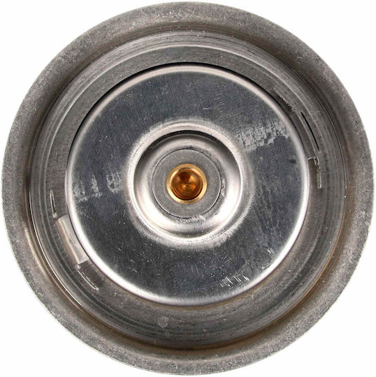 Termostat Antigel Gates Th13380g1