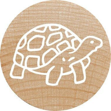 Colop Woodies Stamp Set "exotic Animation" Retail
