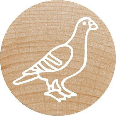Colop Woodies Stamp Set "exotic Animation" Retail
