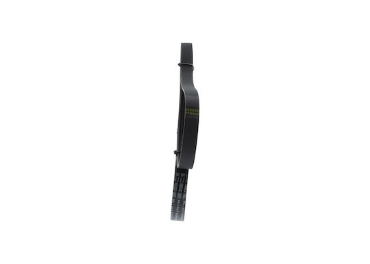 Bosch Ribbed Transmission Belt 1 987 946 239