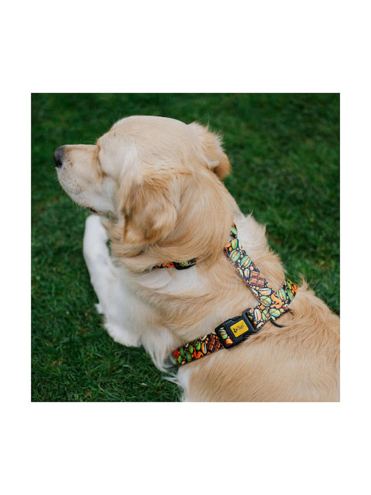 Dingo Guard City Dubai Harness L 3.0 X 55-100cm