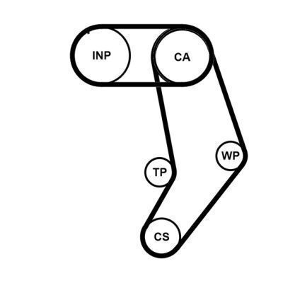 Continental Ctam Ct939k6pro Kit Curea De Distribuție