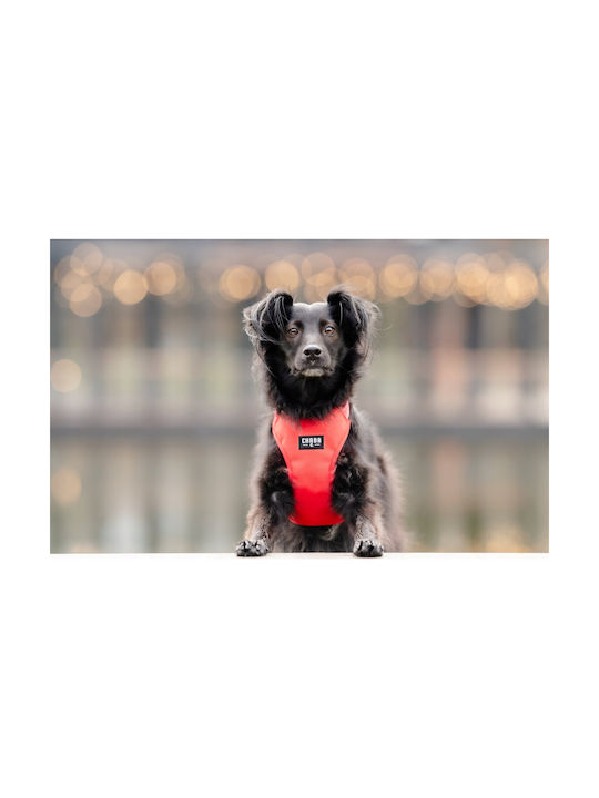 Chaba Chaba Guard Comfort Harness Xs 1 6cm/32-37cm Red