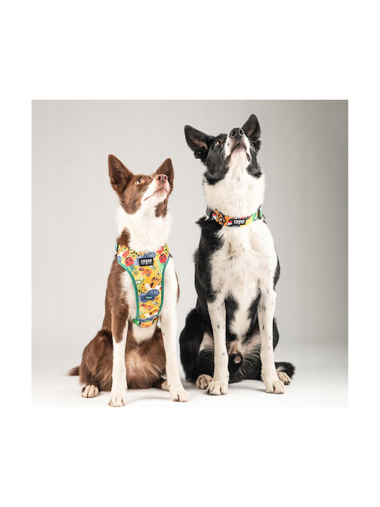 Chaba Chaba Hundegeschirre Schutz Komfort Geschichte S Jumbo 1.6/29-39cm