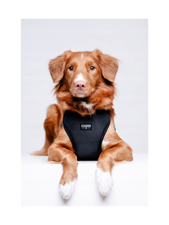 Chaba Chaba Guard Comfort Xl Кучешки Повод 2 5см/64-76см Черен
