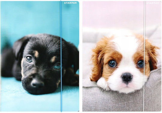 A4 Dogs Paper Folder Elastic Pcs Fol10/100