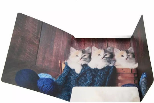 A4 Cat Rubber Band Folder Stk Fol10/100