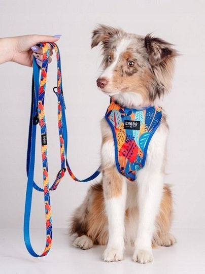 Ρυθμιζομενη Ταινια Chaba Chaba Leash Story Aussie ``l`` 2,5x260εκ