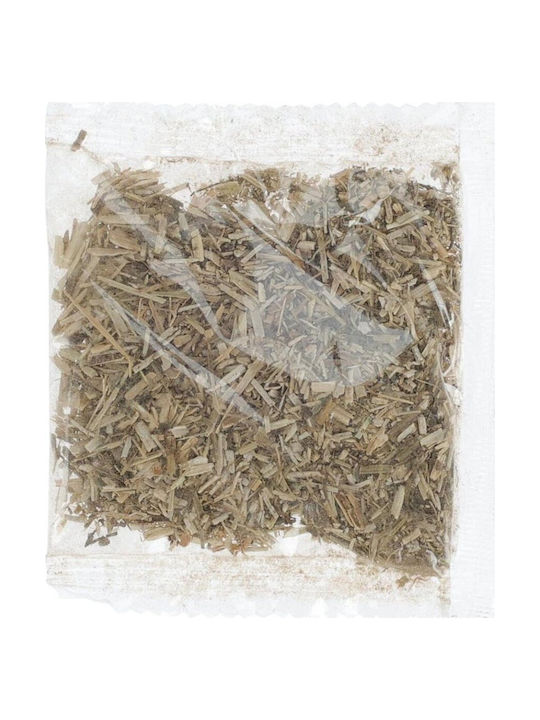 Koopman Interaktives Katzenspielzeug Zwei Kugeln 39x33,5x4,5cm