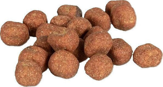 Duvo+ Knusprige Katzenleckerlis mit Lachs 50g