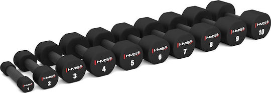 HMS HMS Hantel 1 x 1kg
