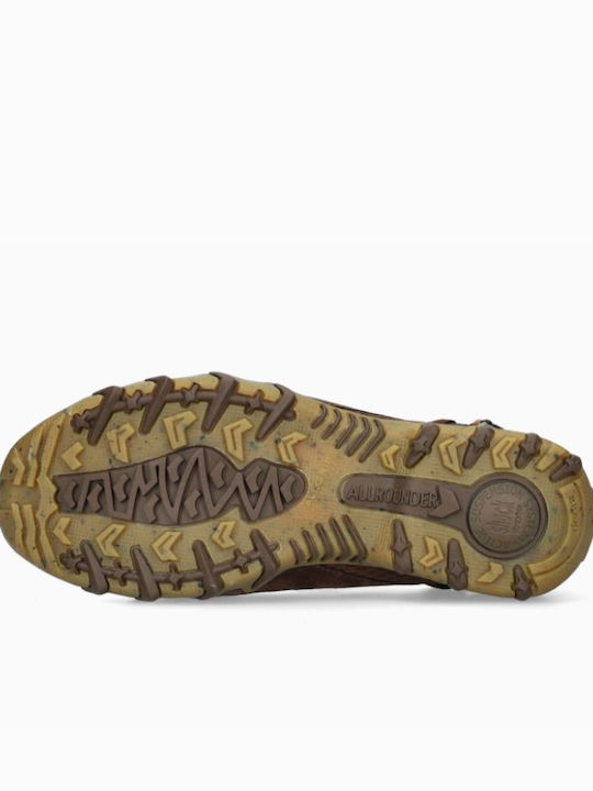 Lederne Damen Ballerinas mit Riemen in Braun Farbe