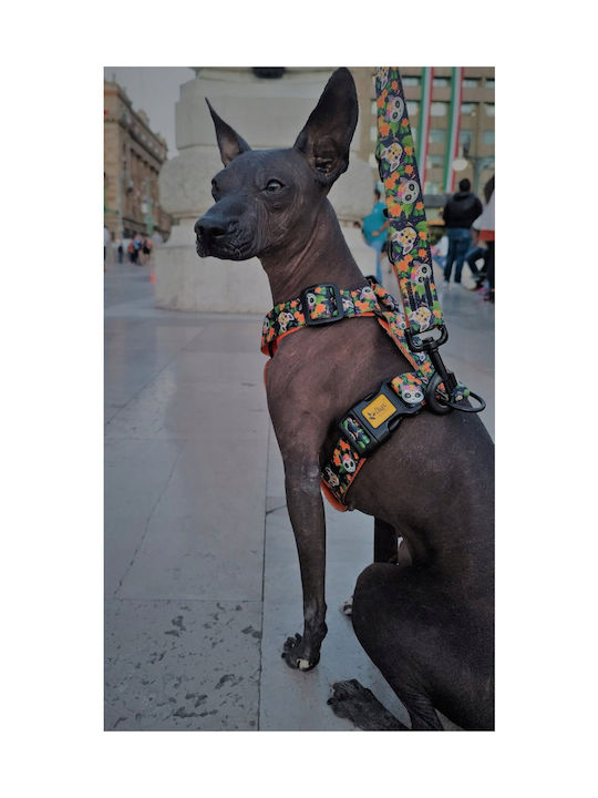 Dingo Dingo Διπλό Λουρί Guard City Chiapas Μέγεθος S
