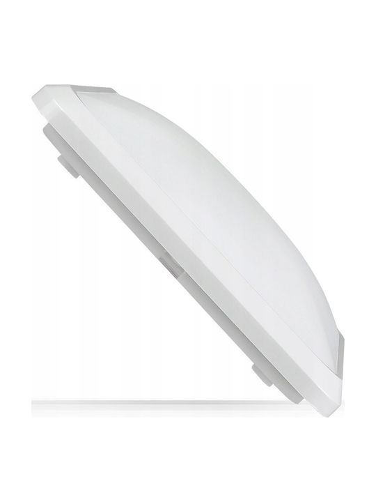 Best Service Ceiling Mount Light