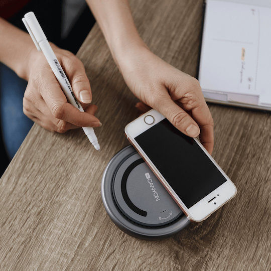 Canyon USB-C Docking Station with HDMI 4K PD Silver (CNS-TDS07DG)