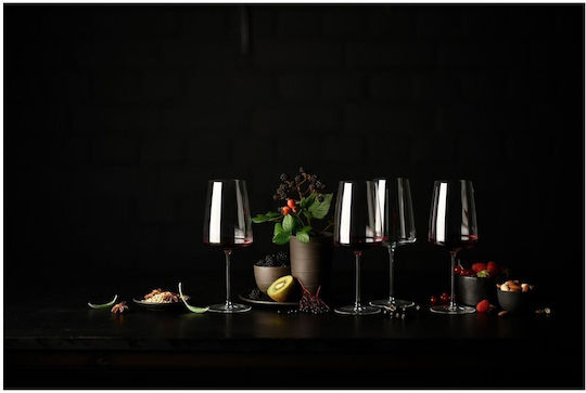 Zwiesel Glas Set Gläser Wasser aus Glas Mit Stiel 740ml 2Stück