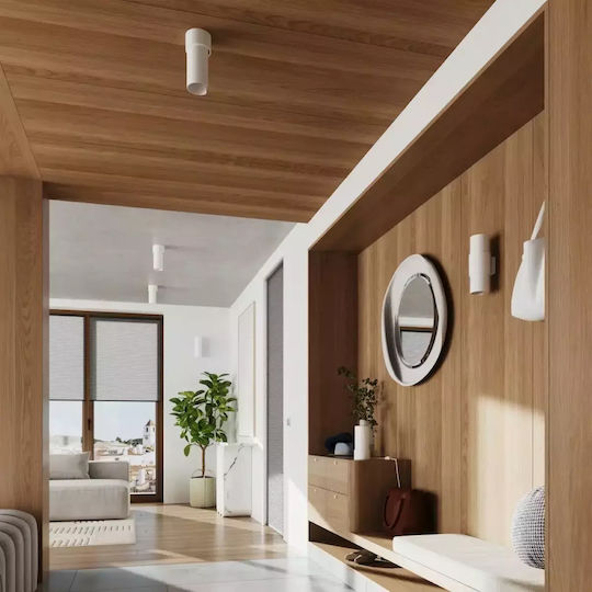 Sollux Classic Lamp Wall with Socket E27 White