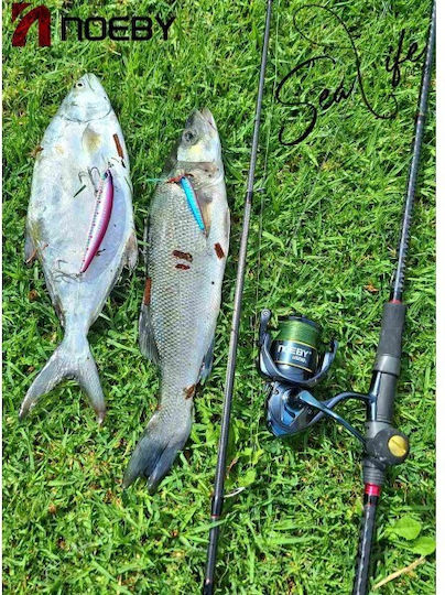 Noeby Fishing Reel for Spinning, Eging, Shore Jigging, Casting, Surf Casting, Vertical, Trolling and Inchiku