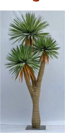 Yucca Cu Textură Reală 3 Vârfuri Bază 260cm 0516213