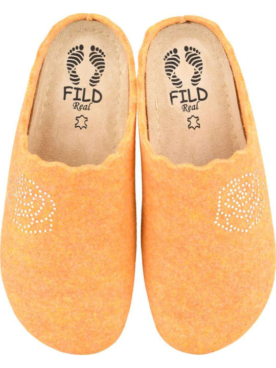 Fild Anatomic