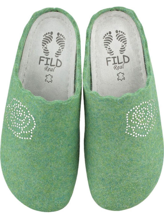 Fild Anatomic