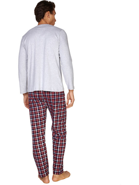 Comfort Gray