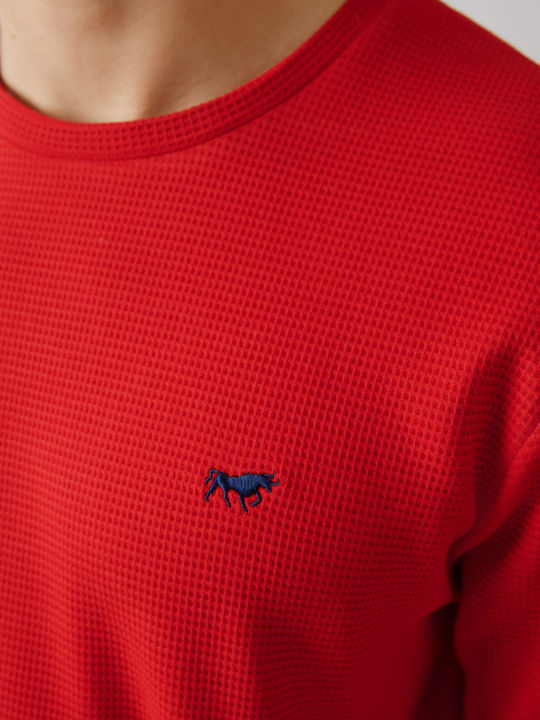 Minerva Bull Bull Red