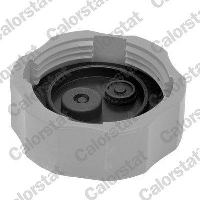 Cap Expansion Tank Calorstat By Vernet Rc0190