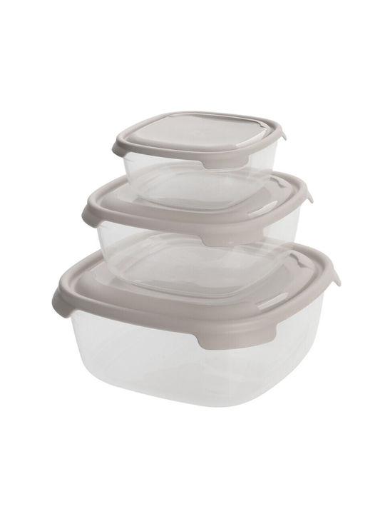 Viosarp Plastic Lunch Box 3pcs