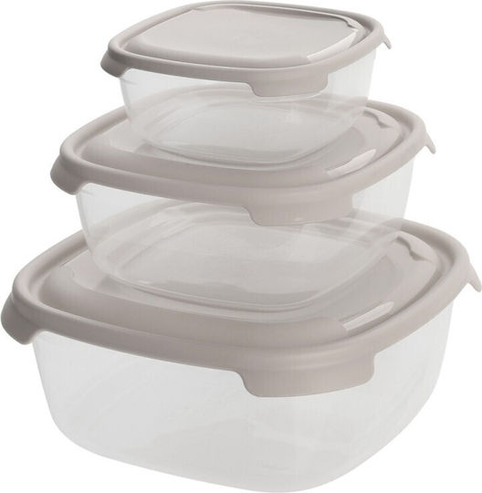 Viosarp Plastic Lunch Box 3pcs