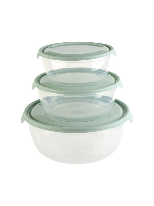 Viosarp Plastic Lunch Box 3pcs