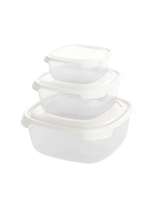 Viosarp Plastic Lunch Box 3pcs