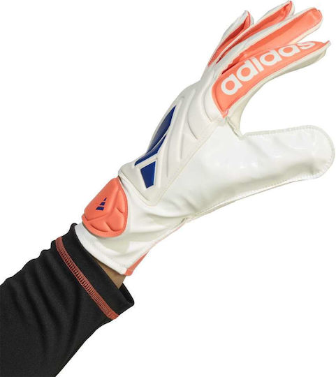 adidas Copa Gl Clb Γάντια Τερματοφύλακα Ενηλίκων Μπεζ