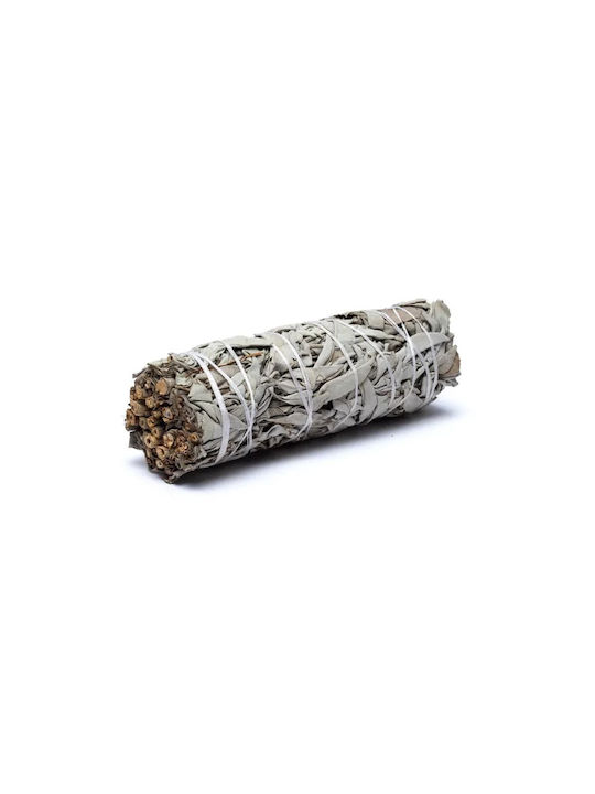 White Sage Smudge Stick 10χ3cm 3 Ραβδιά Θυμιάματος Λευκό Φασκόμηλο