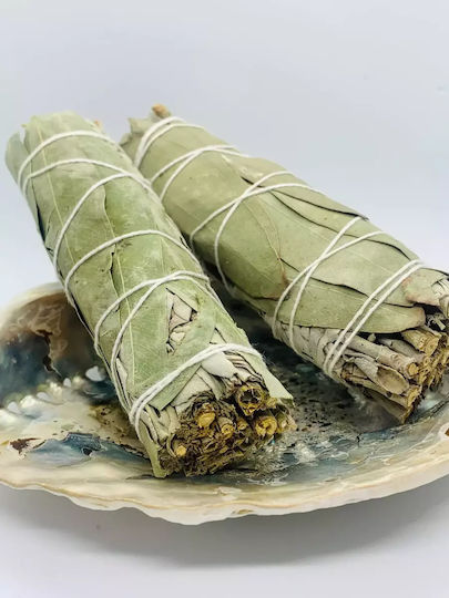 White Sage Eucalyptus Smudge Stick 10x3cm Incense Stick Sage Eucalyptus