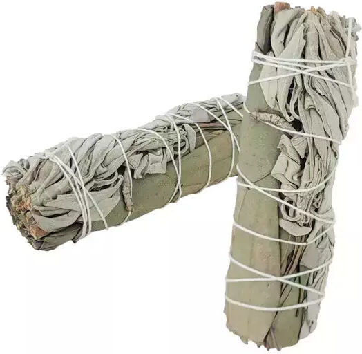 White Sage Eucalyptus Smudge Stick 10x3cm Incense Stick Sage Eucalyptus