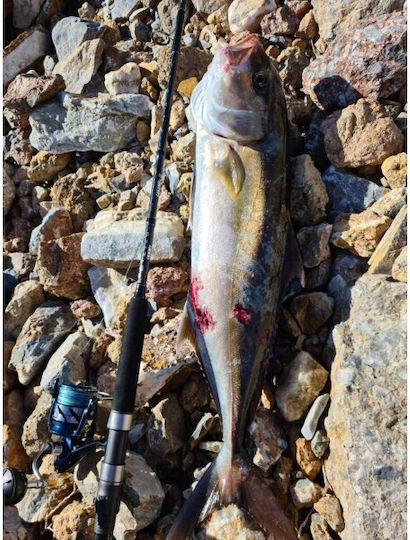 Noeby Μηχανισμός Ψαρέματος για Spinning / Surf Casting / Eging / Καθετή / Jigging / Συρτή / Slow Jigging
