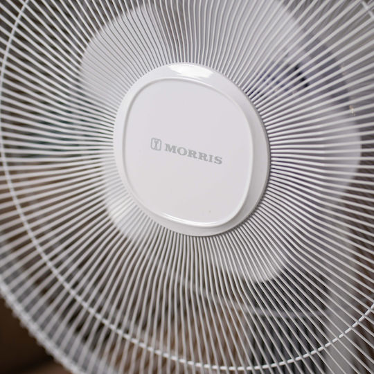 Morris Pedestal Fan 28W 41cm Diameter with Remote Control White