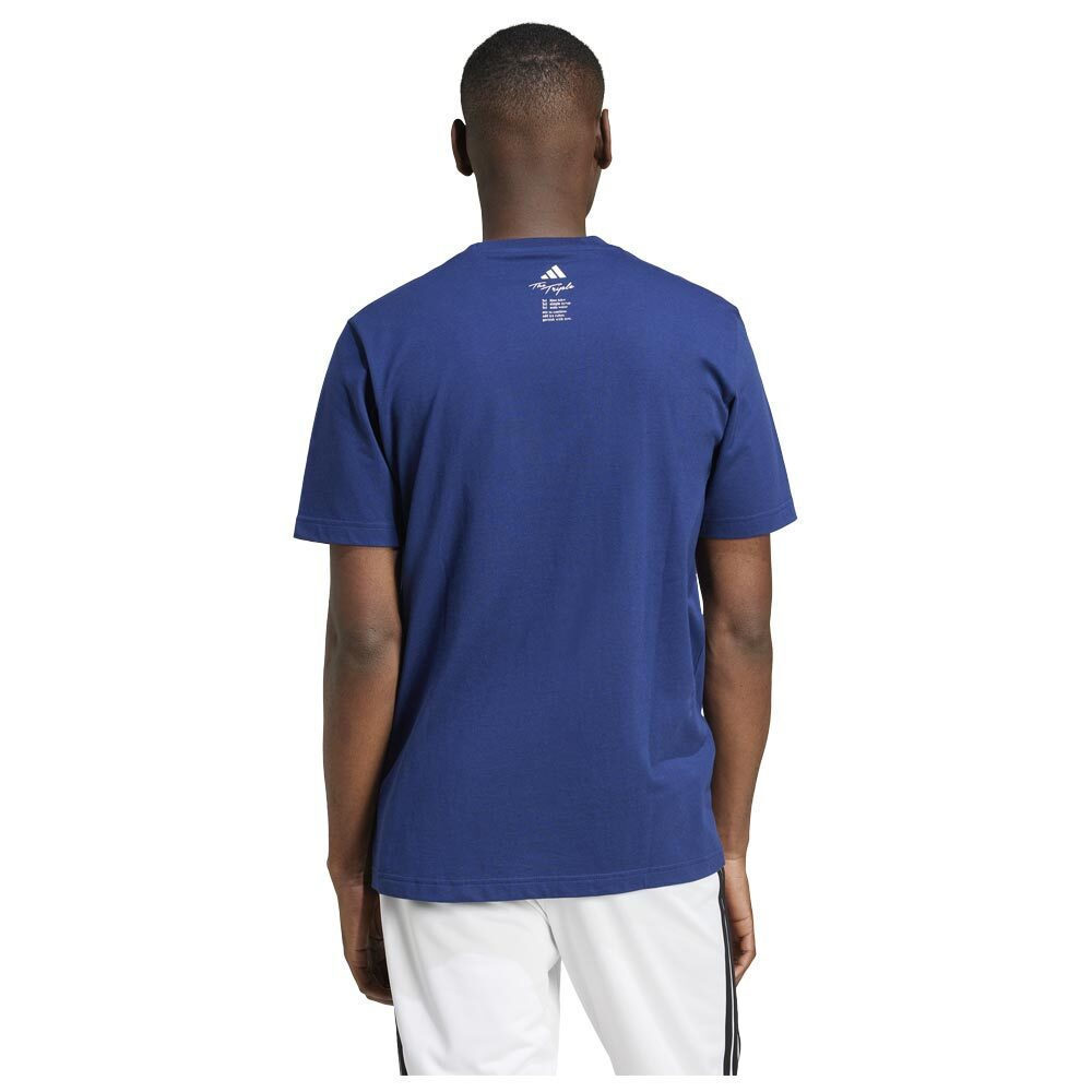 adidas Graphic Tee T-shirt Blue JJ4014 | Skroutz.mt