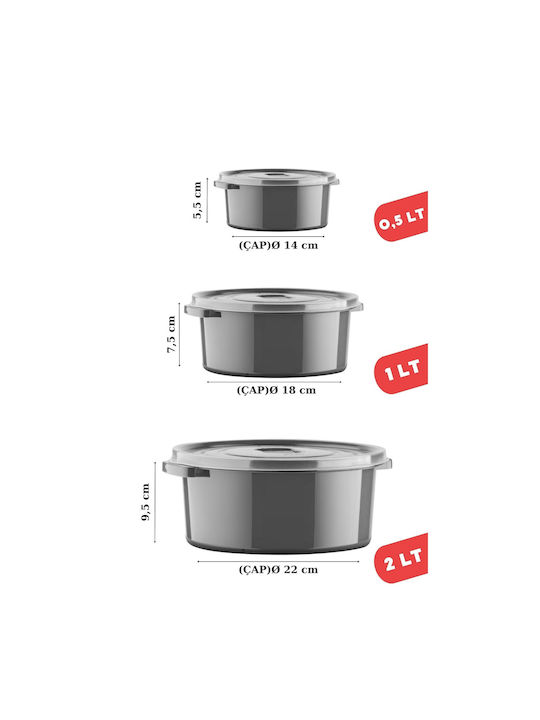 GinzaMaison Set Mittagsboxen Kunststoff 12 Stück