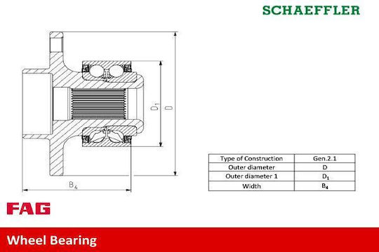 FAG Wheel Bearings for Ford Focus / C-Max / Focus C-Max