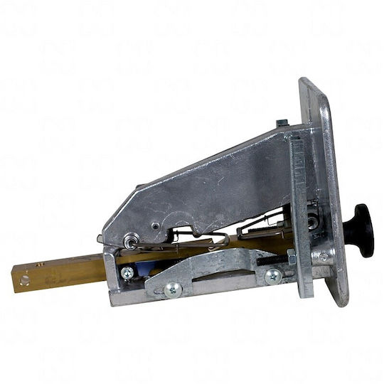 Kermatodectis G07 0,50 Euro