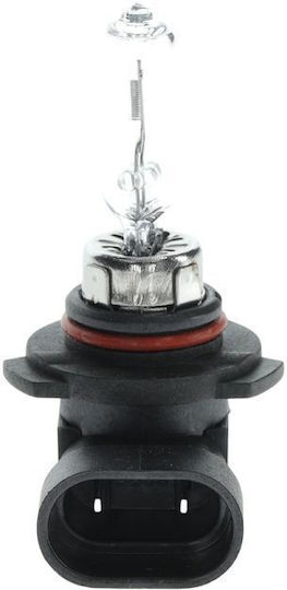 Bosch Lampen Auto & Motorrad Eco HB3 Halogen 12V 60W 1Stück