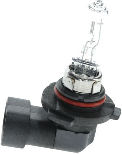 Bosch Lampen Auto & Motorrad Eco HB3 Halogen 12V 60W 1Stück
