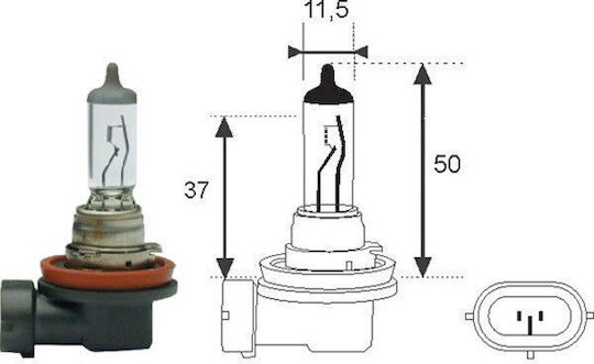 Bec H8 12V 65/45W