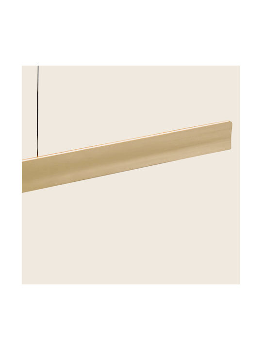 Zambelis Lights Hängelampe Gold