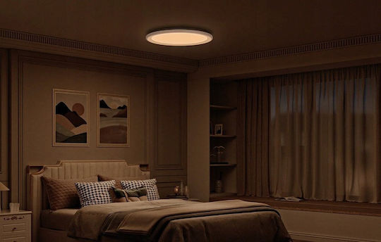 Yeelight Ceiling Mount Light