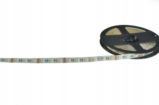 Prescot LED-Streifen 12V 5m Typ SMD5050